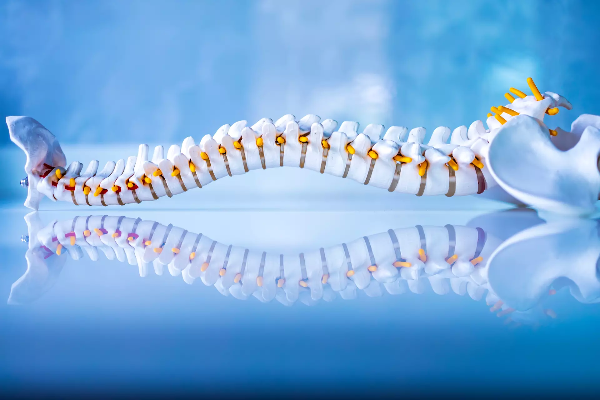 Gonstead Spine Correction